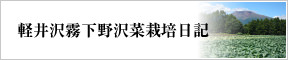 軽井沢霧下野沢菜栽培日記