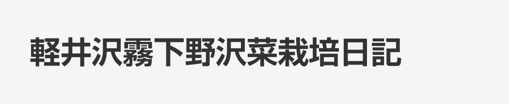 軽井沢霧下野沢菜栽培日記